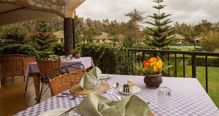 3 Days - Tanzania Short Nature Safari - Wonders of Creation Tours and Safaris 4