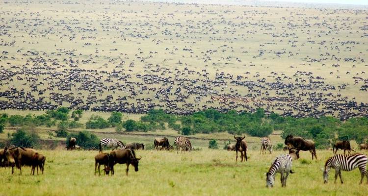 7 Days - Special Family Safari - Wonders of Creation Tours and Safaris 3