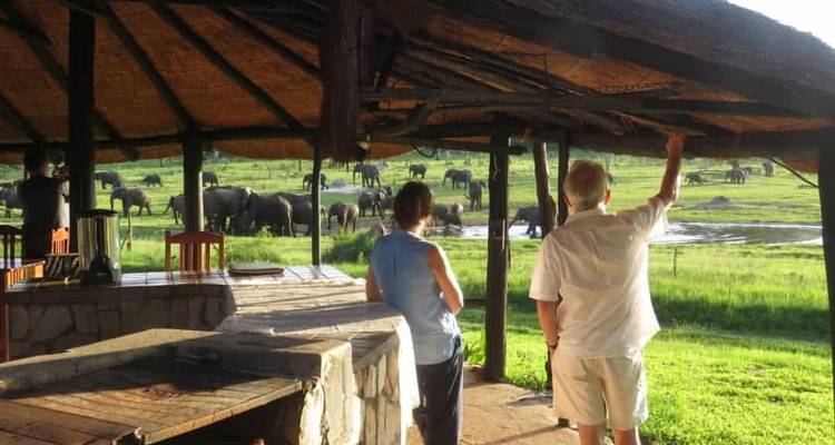 Dos personas observando elefantes en un campo desde un refugio.