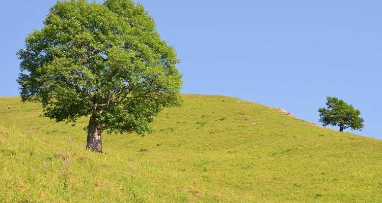 Visite de l'Azerbaïdjan en toute décontraction et en toute connaissance de cause - Azerbaijan Guide 8