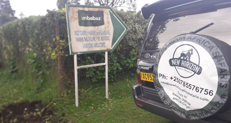 10 Days Uganda Gorillas and Wildlife - New Horizon Africa Safaris 7