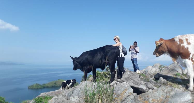 10 Days Uganda Gorillas and Wildlife - New Horizon Africa Safaris 8
