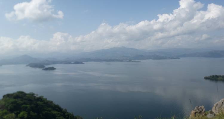 10 Days Uganda Gorillas and Wildlife - New Horizon Africa Safaris 9