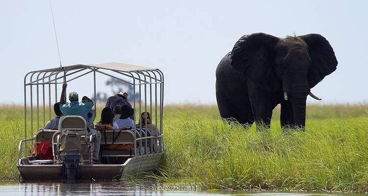 Safari de 3 jours aux chutes Victoria et à Chobe - Little Roz Tours 6