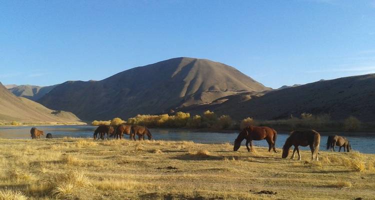 4 days Horseback tour to Black lake - TTRMongolia 7