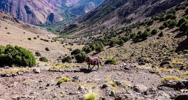 Trek de luxe dans les montagnes de l'Atlas 6 jours - Morocco Mountain Guides 1