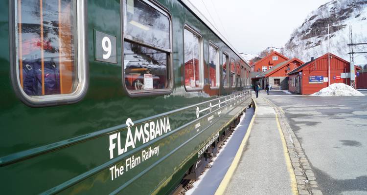 Vision des fjords en train - V.O.S – Vision of Scandinavia 7