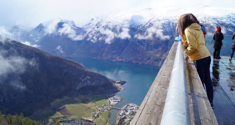 Vision des fjords en train - V.O.S – Vision of Scandinavia 4