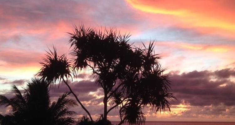 Lune de miel sur une île paradisiaque, Sri Lanka - Koon Holidays (Pvt) Ltd 3