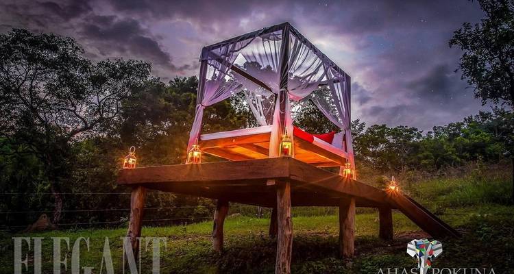 Lune de miel sur une île paradisiaque, Sri Lanka - Koon Holidays (Pvt) Ltd 10