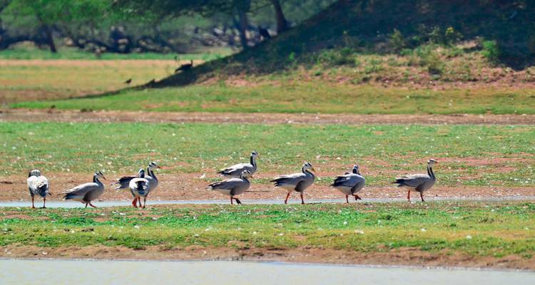 Paso por Kerala - UncleSam Holidays 4
