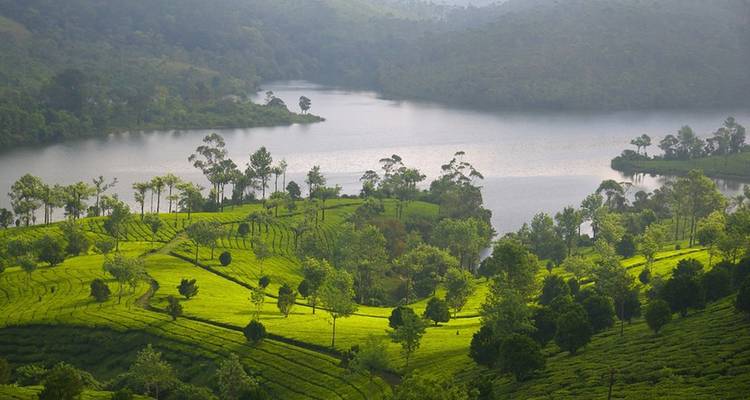 Highlights of Kerala Tour - UncleSam Holidays 7