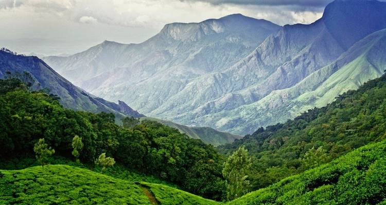 Highlights of Kerala Tour - UncleSam Holidays 4