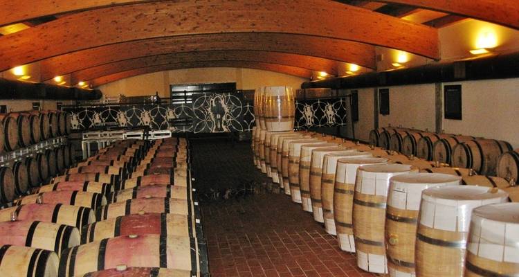 Toscana: un tapiz intemporal de arte, historia y sabor - Angel Wine Experiences and Enotropea Wine Experiences SL 9