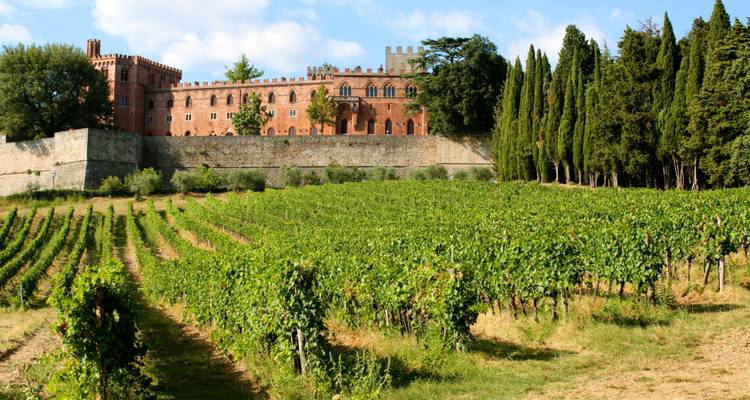 Toscana: un tapiz intemporal de arte, historia y sabor - Angel Wine Experiences and Enotropea Wine Experiences SL 7
