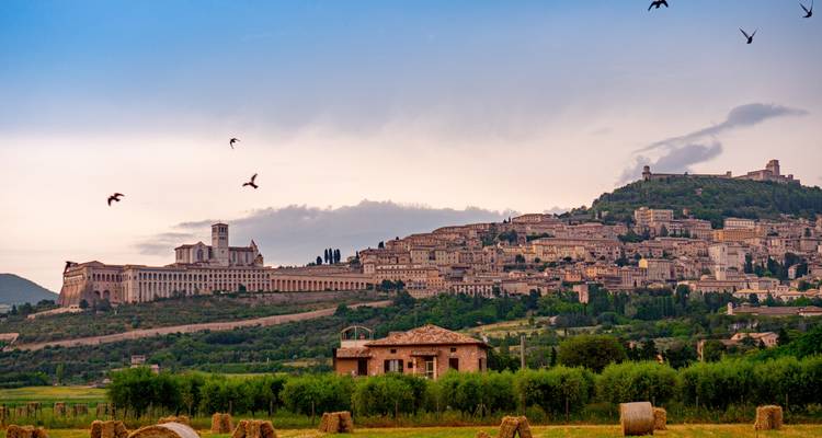 The Best of Umbria Through History, Flavors and Relaxation - Angel Wine Experiences and Enotropea Wine Experiences SL 2