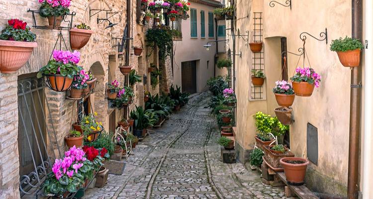 The Best of Umbria Through History, Flavors and Relaxation - Angel Wine Experiences and Enotropea Wine Experiences SL 6