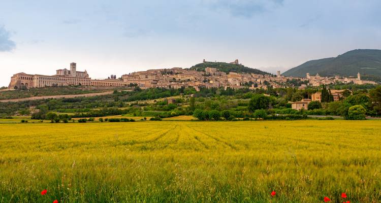 The Best of Umbria Through History, Flavors and Relaxation - Angel Wine Experiences and Enotropea Wine Experiences SL 7