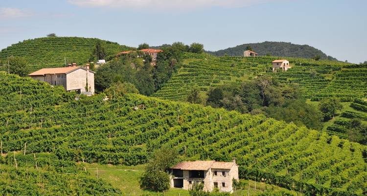Experiencia del Véneto, pensada para los amantes de la comida y el vino. - Angel Wine Experiences and Enotropea Wine Experiences SL 3