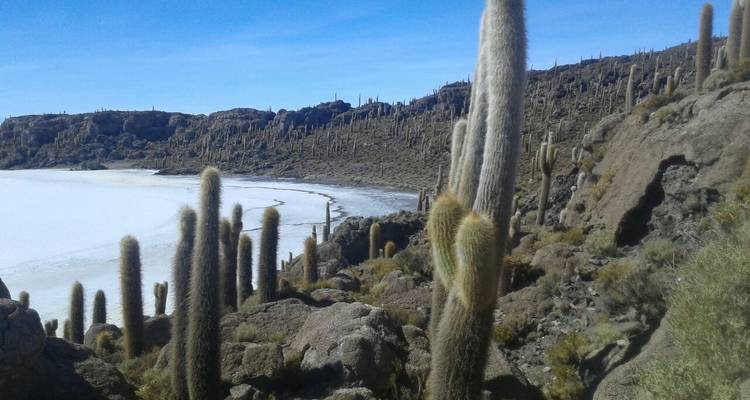 Uyuni Salzebenen und bunte Lagunen von La Paz, Bolivien - 5 Tage - Joker Expedition 10