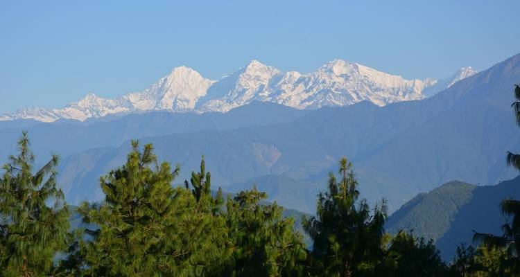 Besneeuwde bergen met dennenbomen op de voorgrond.