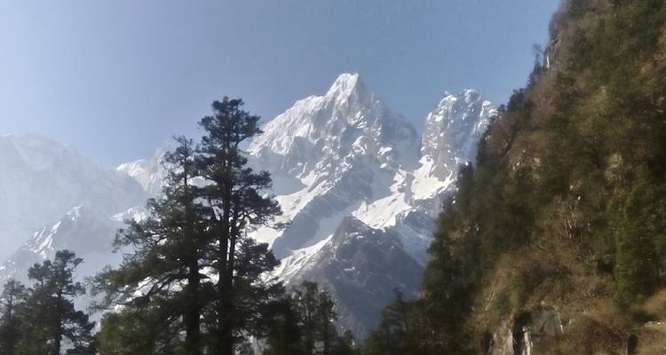 Berglandschap met bomen.