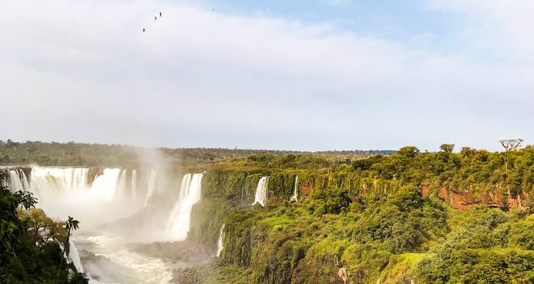 Découvrez la jungle d'Iguazu et les chutes de Mocona - Mater Sustentable 2