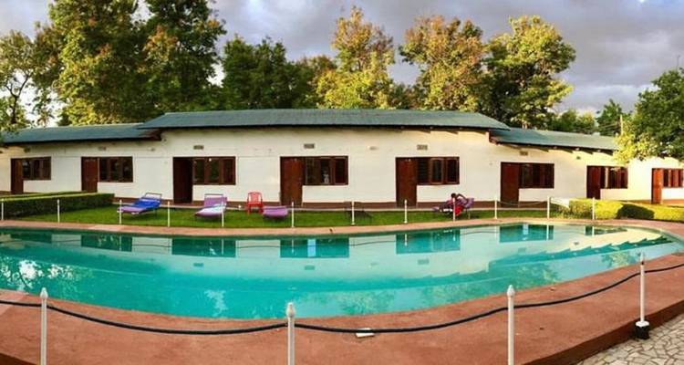 Outdoor pool area surrounded by greenery and a building.