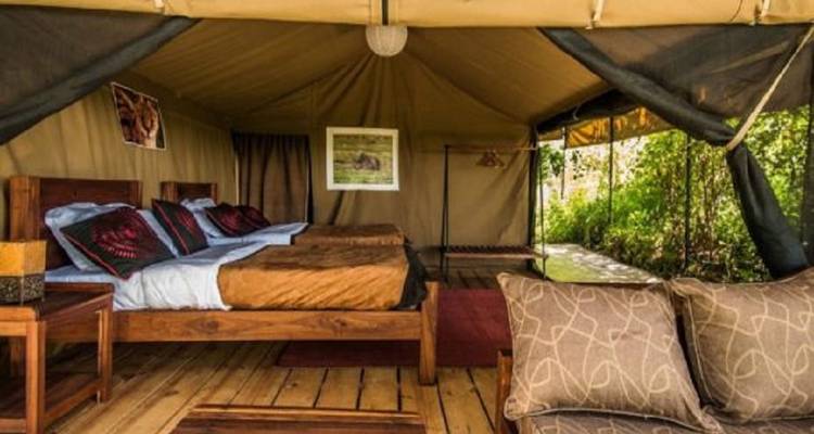 Recorrido en grupo de 4 días por Tanzania - Explora los 3 parques más bellos del norte de Tanzania a un precio asequible. - Africa Natural Tours 2