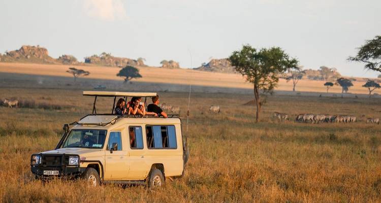 Mejor Safari Privado de 7 Días en Tanzania con Guía Experto 2025 - 2026 - Africa Natural Tours 3