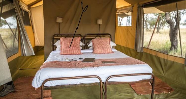 Tanzania Luxury Tour in 8-Day: World-Class Experience Starting from Arusha - Africa Natural Tours 1