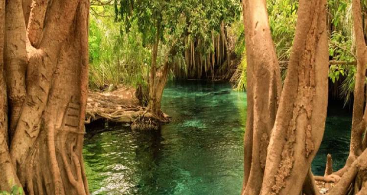 Chemka Hotspring Day Trip Tour from Moshi with Reasonable Price. - Africa Natural Tours 2