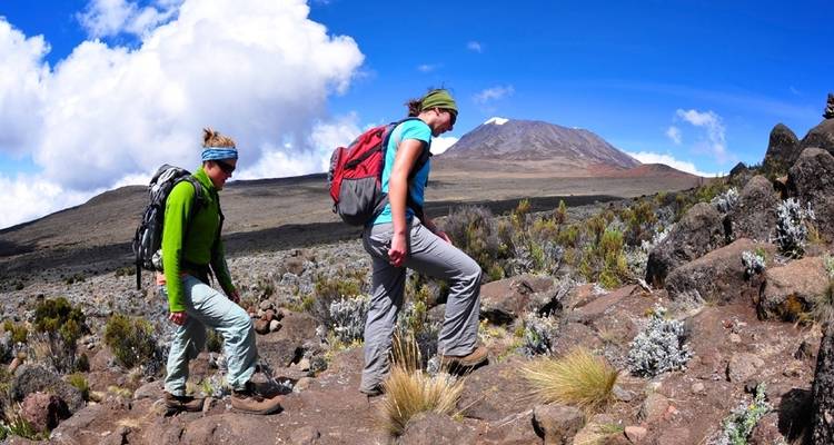 Ruta Marangu - Escala el Kilimanjaro en 6 días - Africa Natural Tours 4
