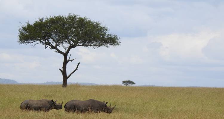 Safari lune de miel de luxe en Tanzanie - 7 destinations - Professional Safari Africa 6
