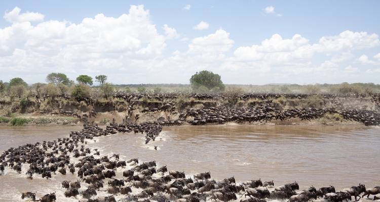 11 Day - Luxury Tanzania Adventures - Professional Safari Africa 2
