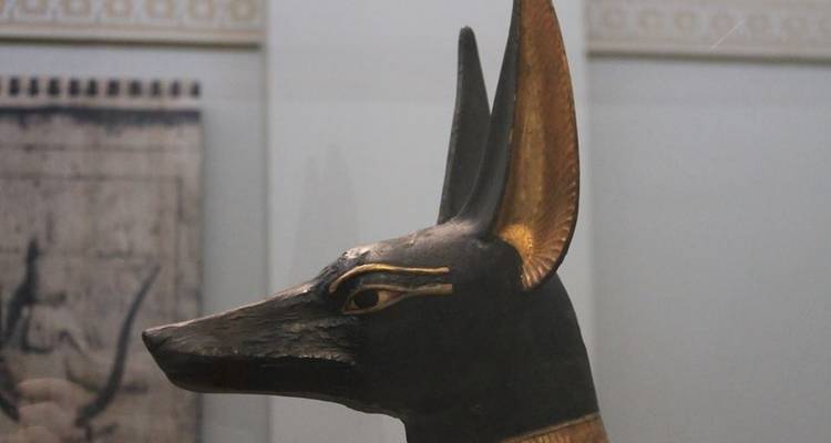 14 días el Cairo y Hurghada y crucero por el Nilo a Luxor y Asuán - incluye Kom Ombo - Ancient Egypt Tours 8