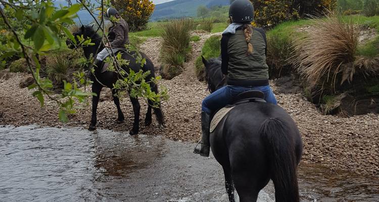 Discover the South East! Kilkenny and Waterford! - Keogh Barrett tours ireland  2