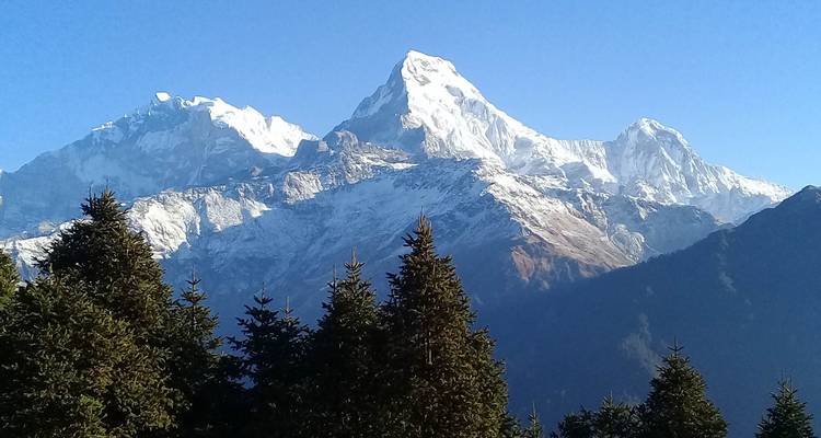 Annapurna Sunrise Trek 10 Days - Oriental Journeys Pvt. Ltd. 10