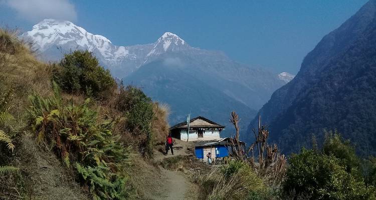 12 jours de Trekking au camp de base de l'Annapurna - ABC - Oriental Journeys Pvt. Ltd. 9