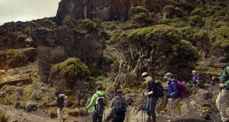 Ascension du Kilimandjaro par la route Machame 6 jours - Kilimanjaro Safari Experience 2