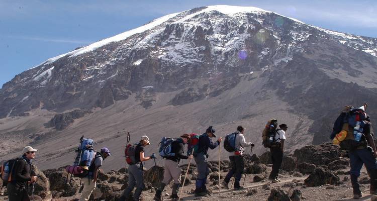 Ascension du Kilimandjaro par la route Machame 6 jours - Kilimanjaro Safari Experience 3