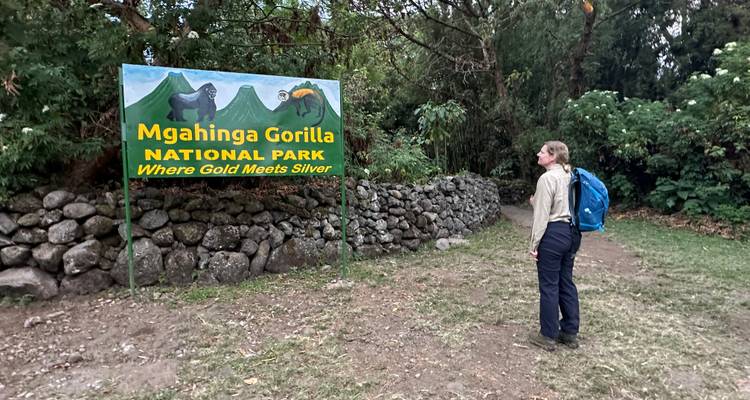 Excursión de 3 días al PN de los Gorilas de Mgahinga Uganda vía Ruanda - Safari 2 Gorilla Tours (U) Ltd 4