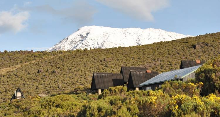 Route de Machame 7 jours - Kilimanjaro Safari Experience 9