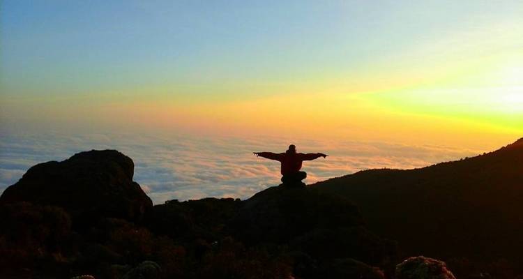 Route de Machame 7 jours - Kilimanjaro Safari Experience 8