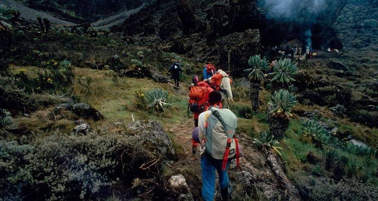 Route de Machame 7 jours - Kilimanjaro Safari Experience 3
