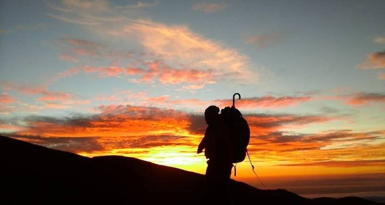 Kilimanjaro Climb Umbwe Route 6 days - Kilimanjaro Safari Experience 7