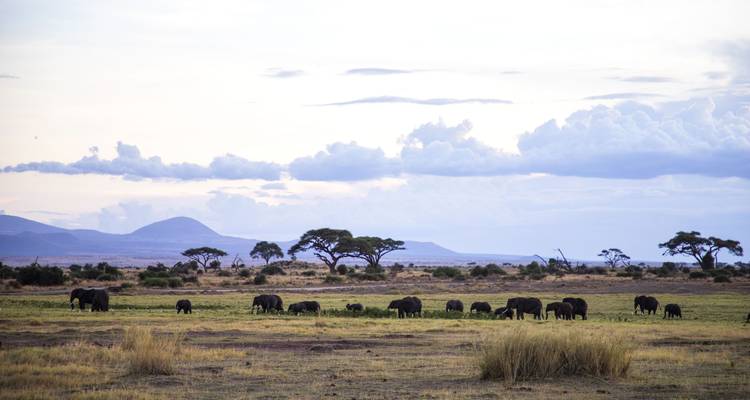 Safari de 4 jours au Masai Mara- Lake Nakuru - milieu de gamme - African Breeze Safaris 7
