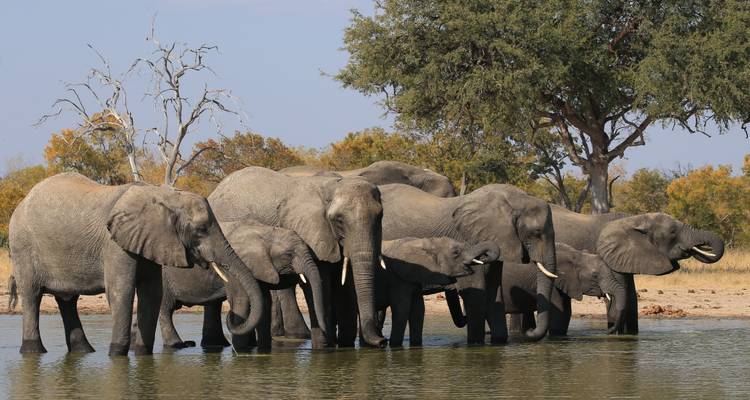 Safari de 4 jours au Masai Mara- Lake Nakuru - milieu de gamme - African Breeze Safaris 1