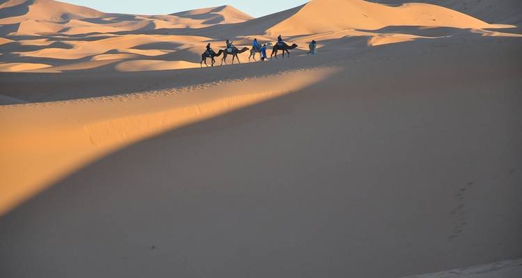 Mensen die op kamelen door de woestijnduinen rijden.
