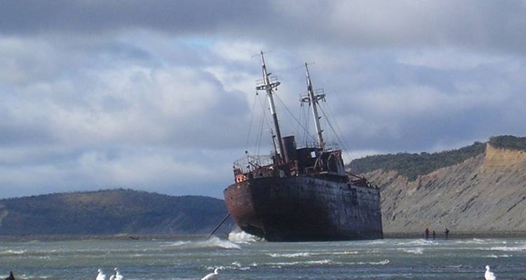 Whales, Penguins, Glaciers & End of the World - Beyond BA LATAM 6